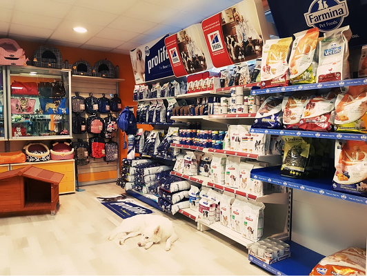 Stelle a 4 Zampe - Toelettatura - Pet Food - Alimentazione per Cani - Collari - Foto 5