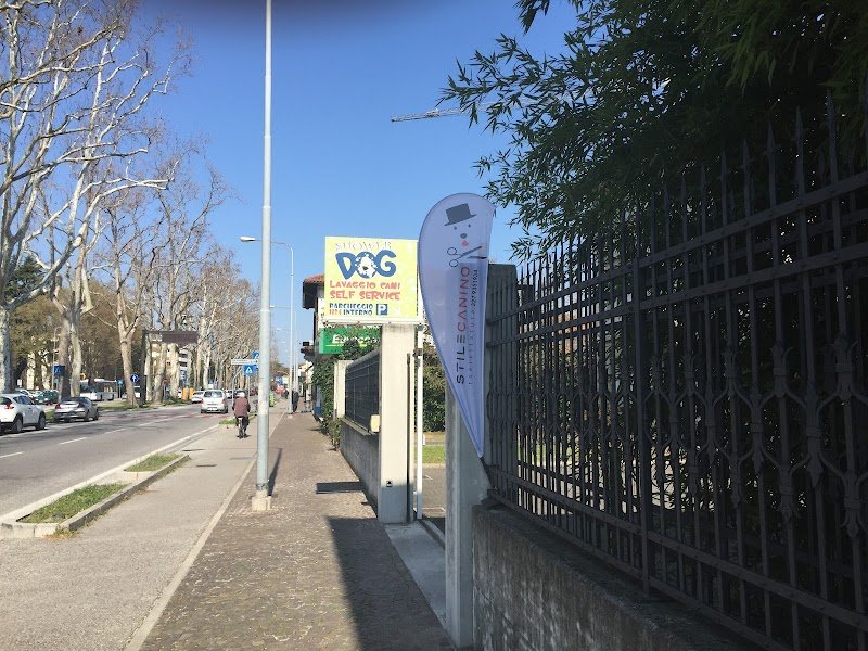 STILECANINO Toelettatura - Foto 1