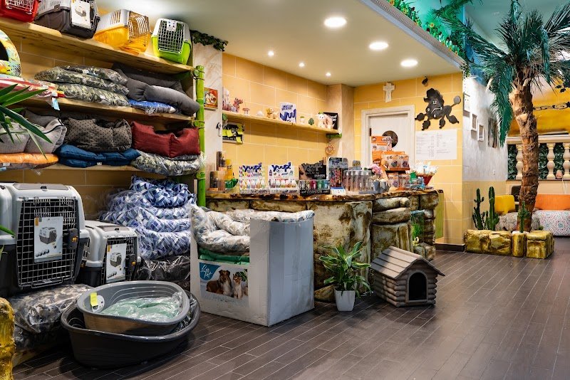 Strapazzami di Coccole | Toelettatura & Spa di Stano Loredana - Foto 2