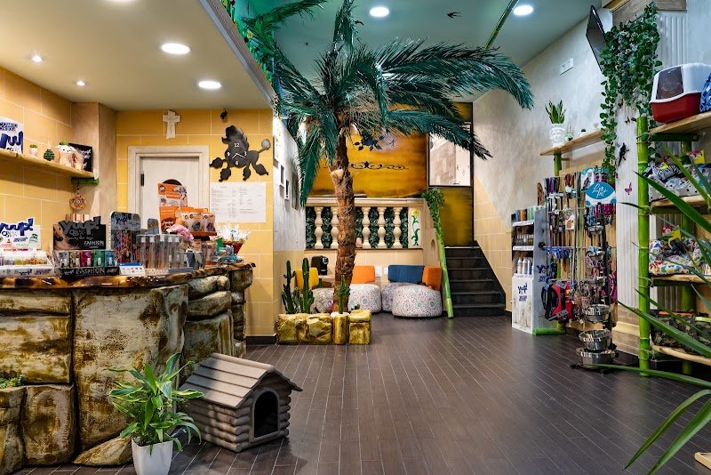 Strapazzami di Coccole | Toelettatura & Spa di Stano Loredana - Foto 1