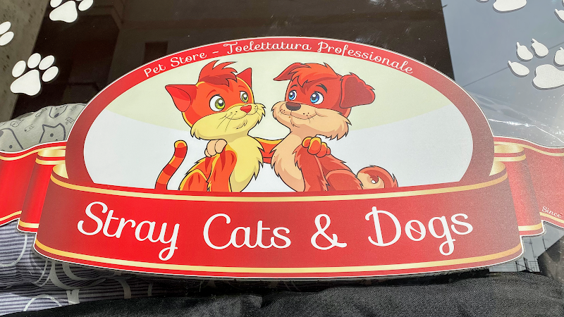 Stray Cats & Dogs - Foto 5