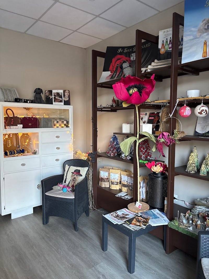 Stylish Dog Toelettatura - Foto 3