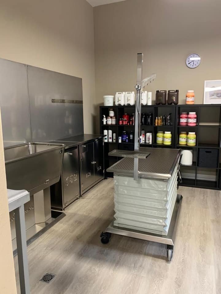 Stylish Dog Toelettatura - Foto 5