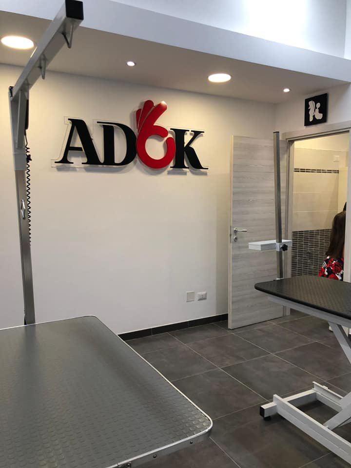 Stylist Dog Toelettatura - Foto 2