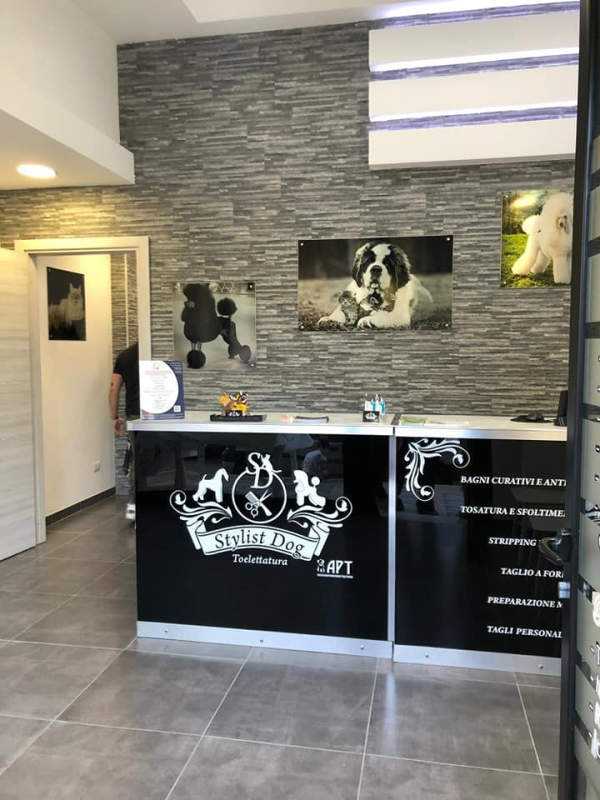 Stylist Dog Toelettatura - Foto 5