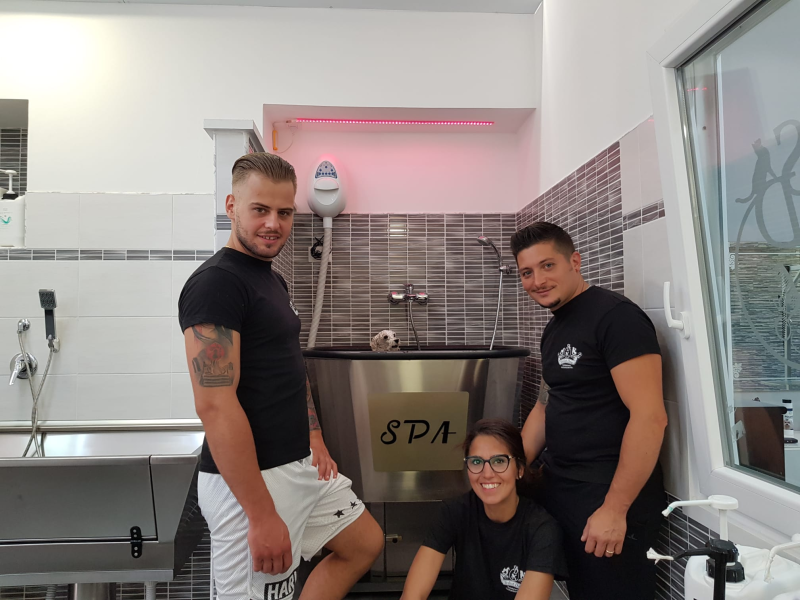 Stylist Dog Toelettatura - Foto 6