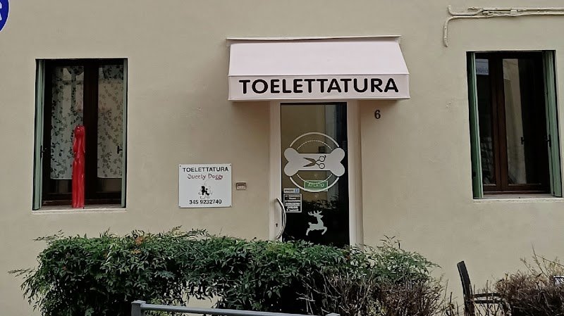 Sweety Doggy - Foto 1