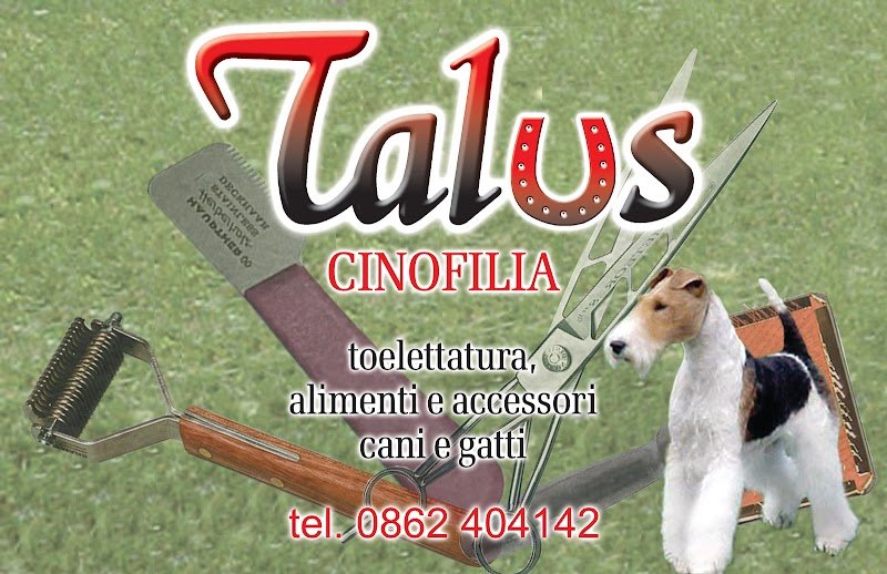 TALUS - Foto 1