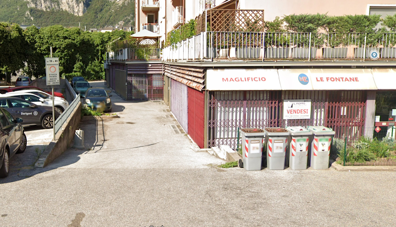 Tao - Pensione gatti e Toelettatura animali - Foto 4