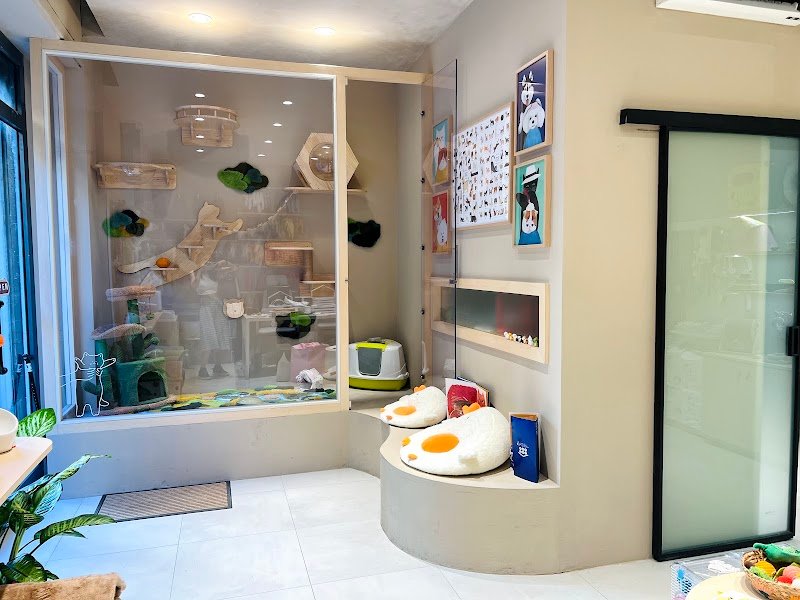 TartufoHome-toelettatura degli animali - Foto 6