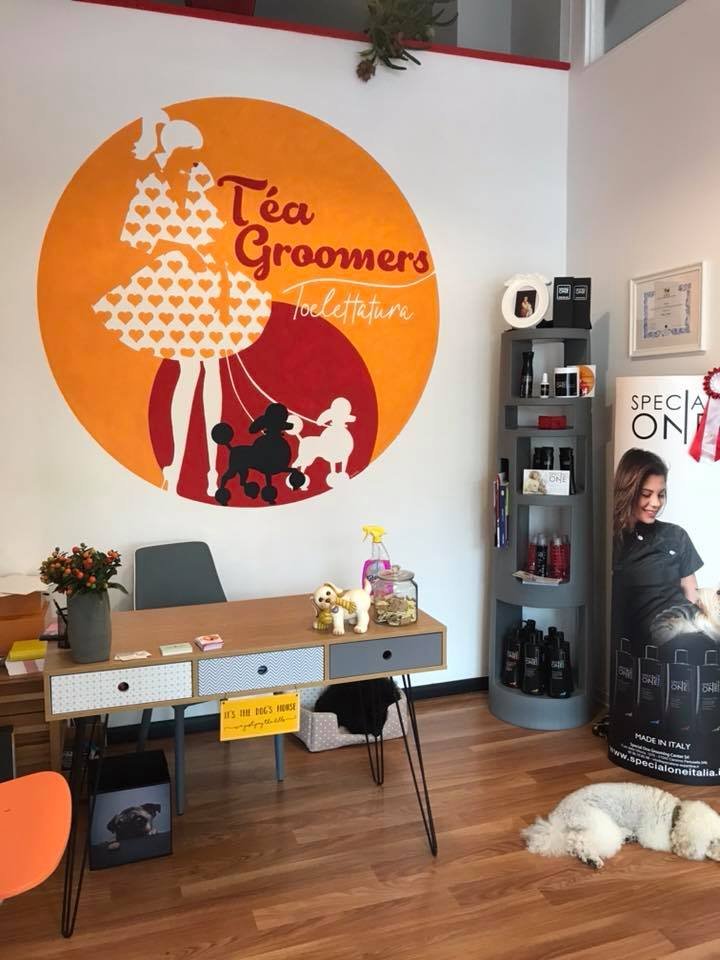 Téa Groomers Toelettatura - Foto 1