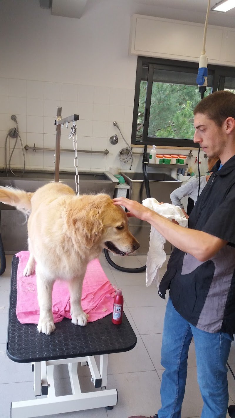 Tecnonatura - Foto 3