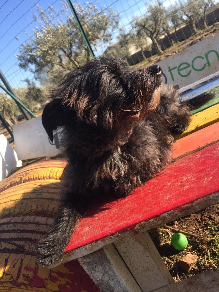 Tecnonatura - Foto 5