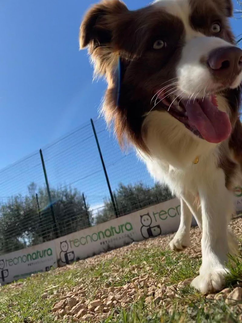 Tecnonatura - Foto 6