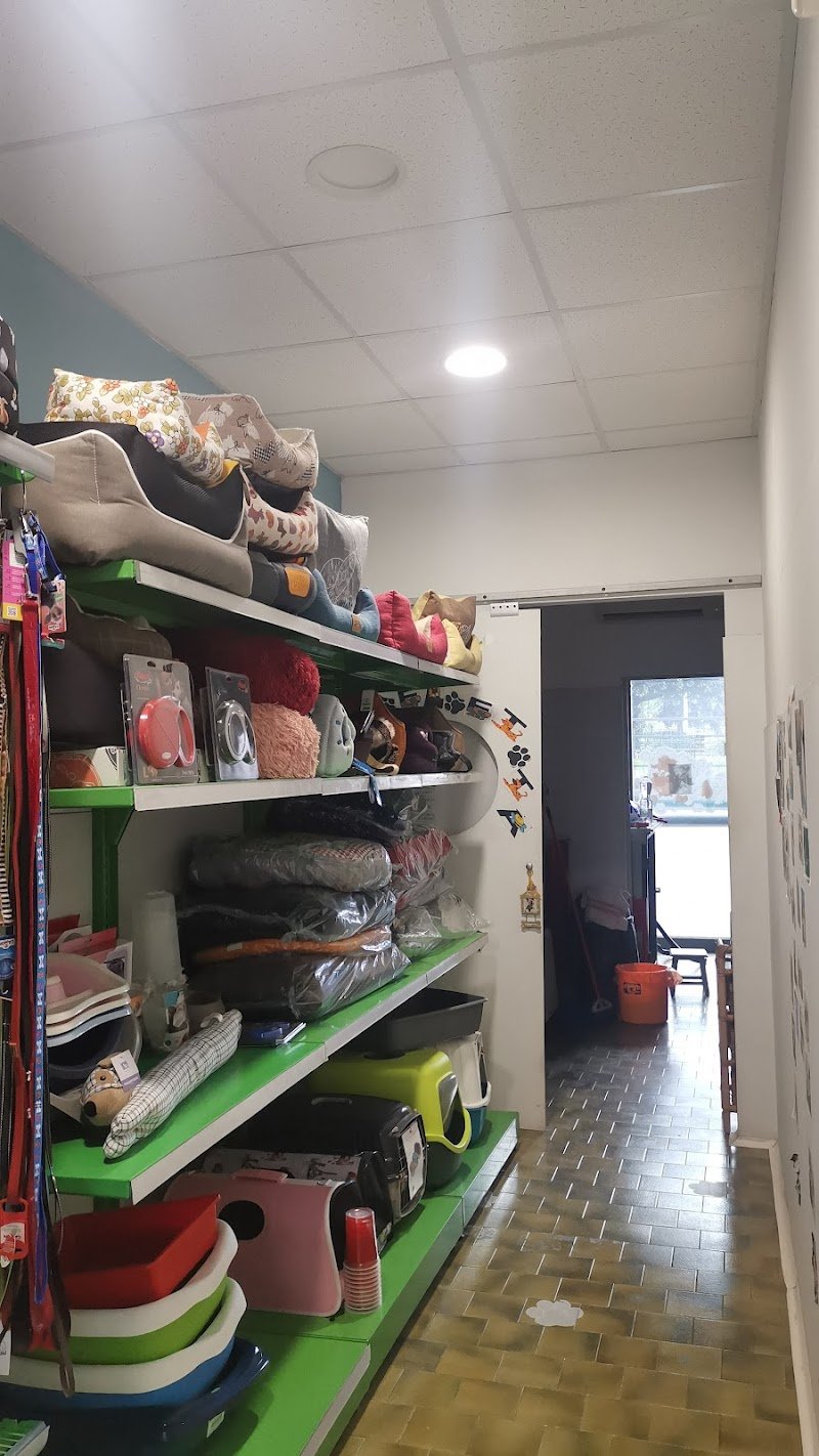 Teo...lettami - Foto 4