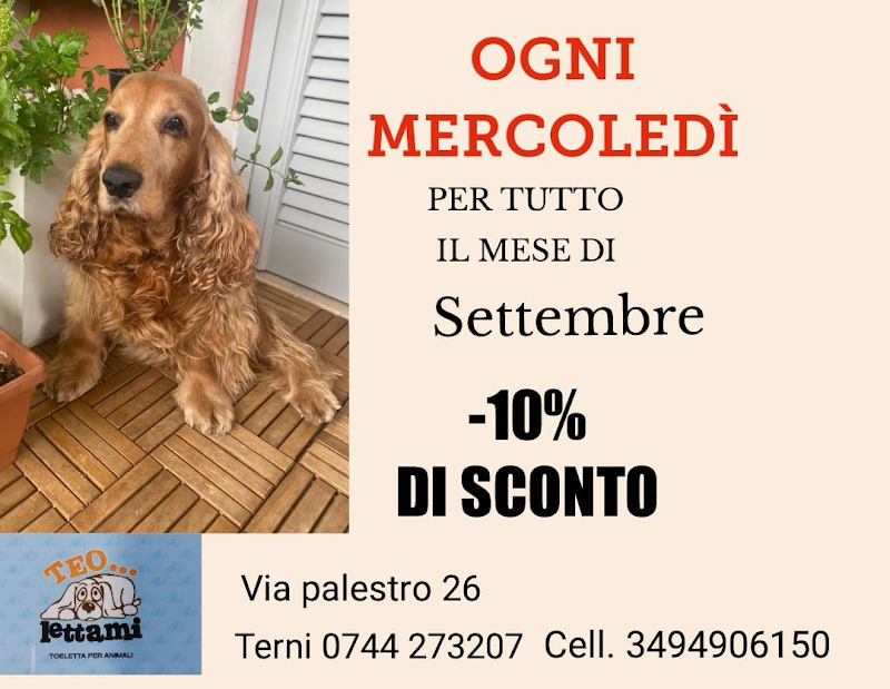 Teo...lettami - Foto 6