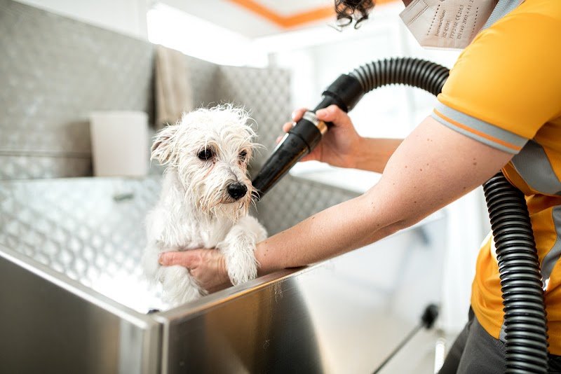 Terme Pet - Savona - Foto 1