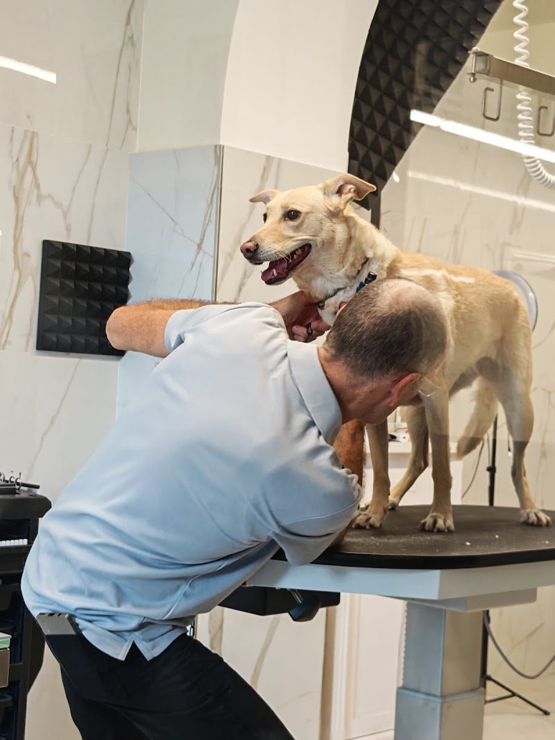 Terme Pet - Savona - Foto 2