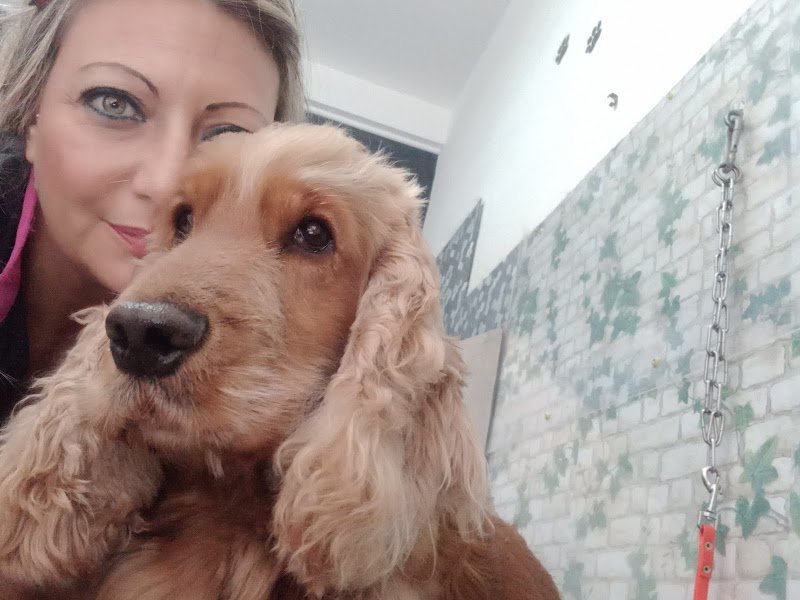 The Animal Wash - Foto 1