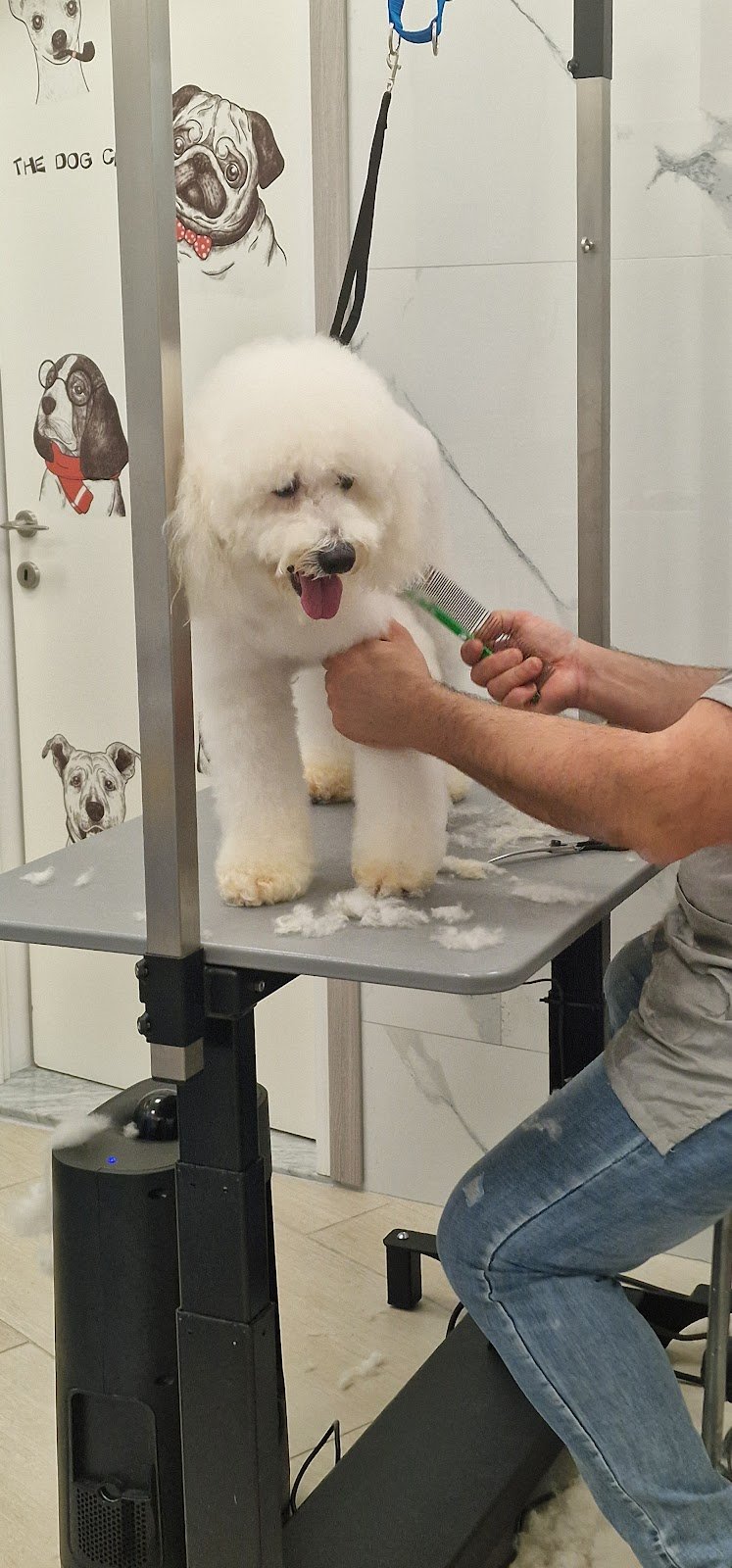 THE DOG'S CLUB REGGIO CALABRIA - Foto 3