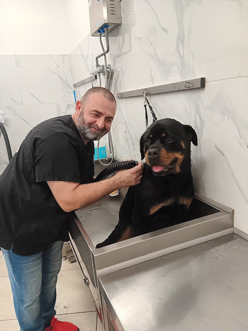 THE DOG'S CLUB REGGIO CALABRIA - Foto 4