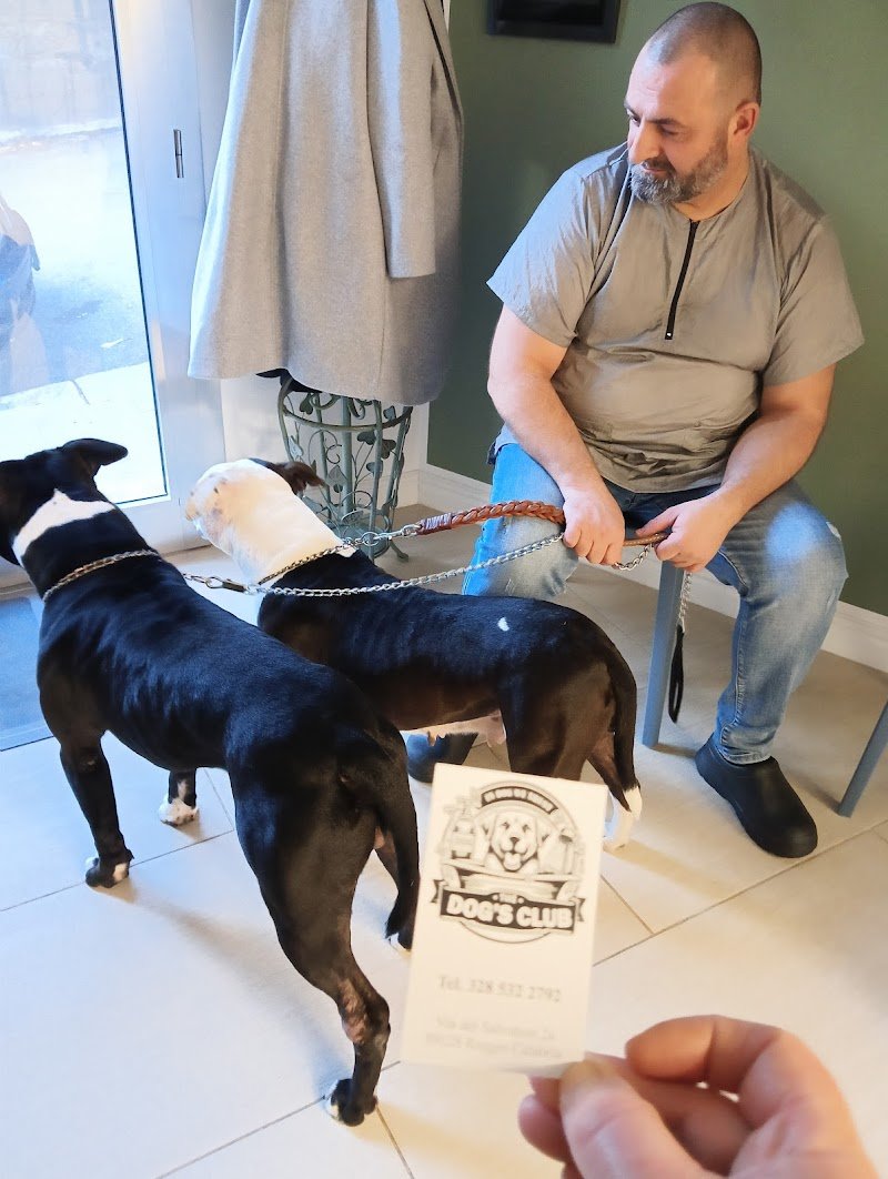 THE DOG'S CLUB REGGIO CALABRIA - Foto 6