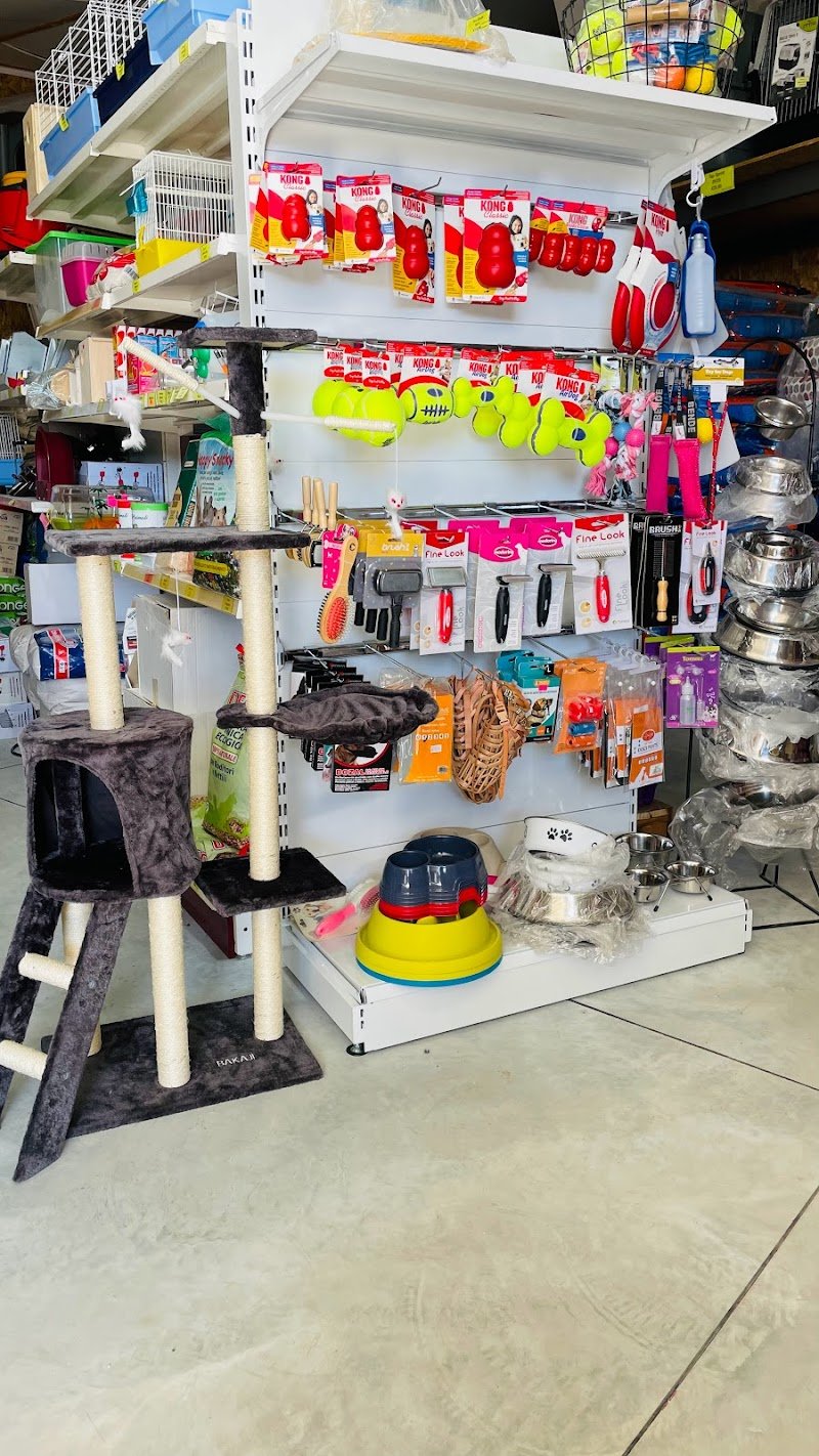 "The feed point" mangime per cani e per tutti gli animali,accessori e toelettatuta - Foto 6