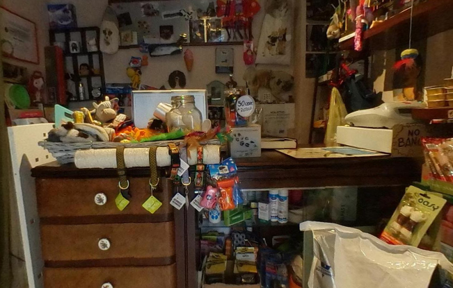 The Pet Shop Firenze - Foto 2