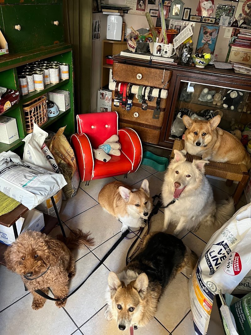 The Pet Shop Firenze - Foto 3