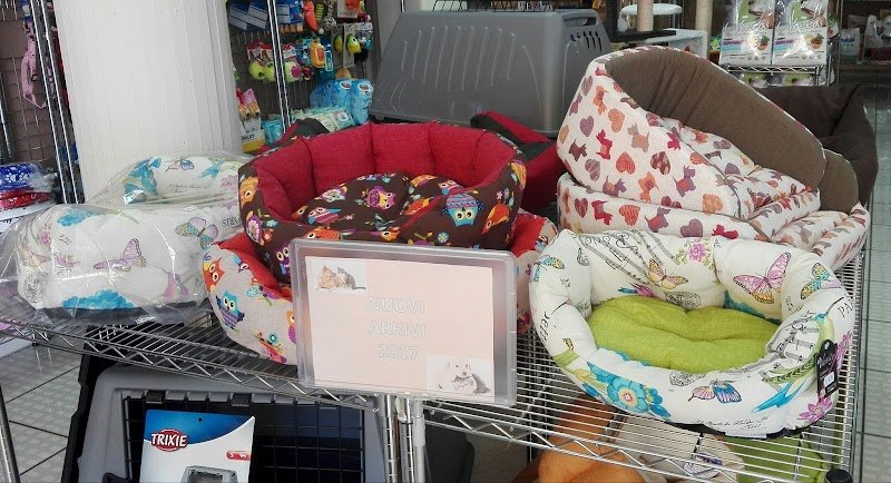 The Pet Shop Firenze - Foto 4