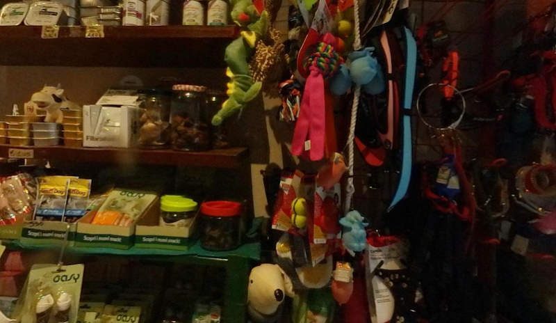 The Pet Shop Firenze - Foto 5