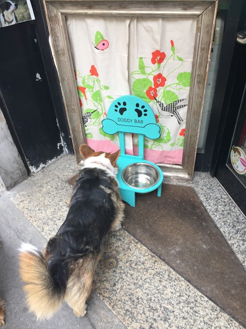 The Pet Shop Firenze - Foto 6