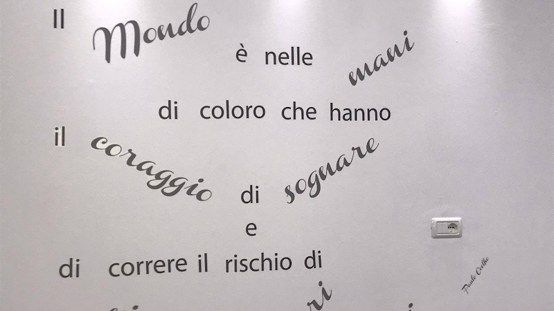 Tiffany'S Pet Spa - Foto 1