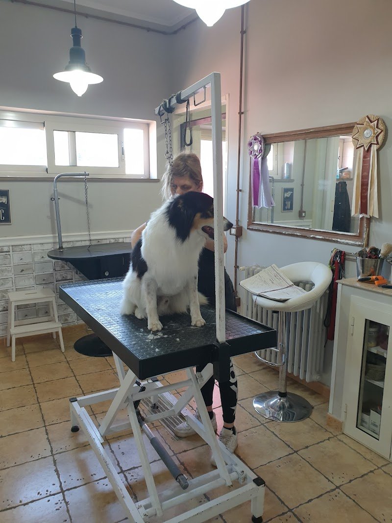 Tisbo Stefano - Foto 2