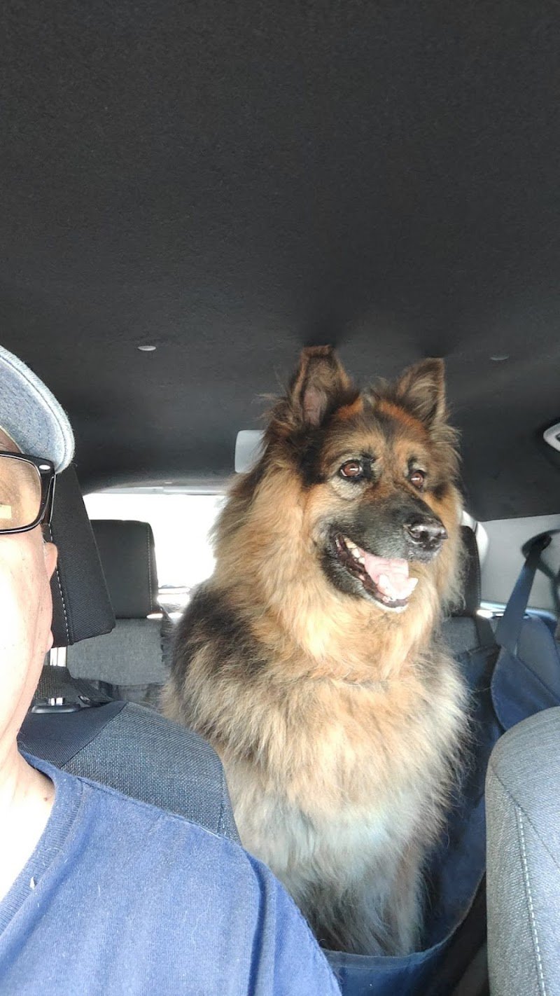 Tisbo Stefano - Foto 3