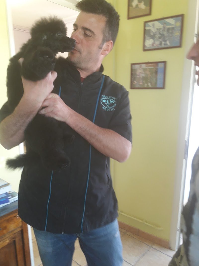 Tisbo Stefano - Foto 4