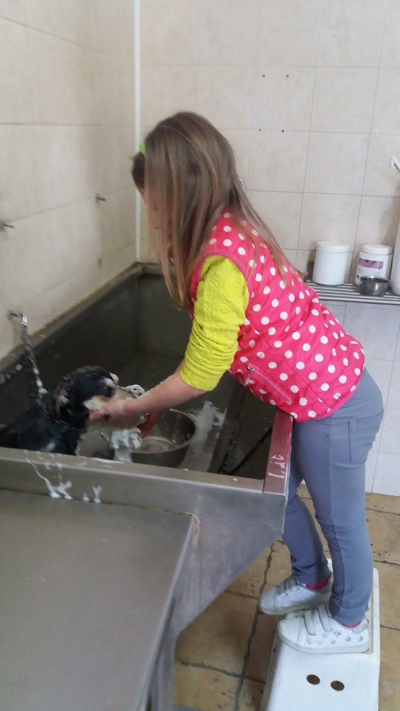 Tisbo Stefano - Foto 5