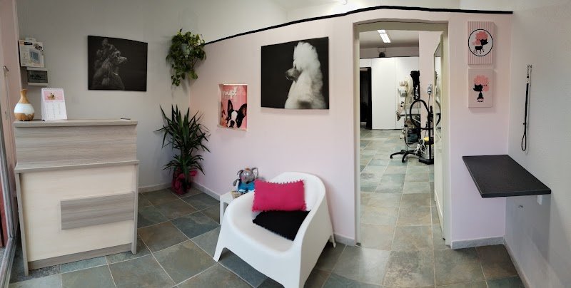 Tiziana Alica professional pet style - Foto 1