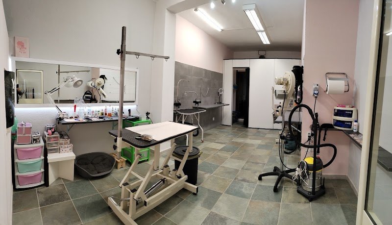 Tiziana Alica professional pet style - Foto 2