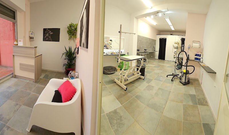 Tiziana Alica professional pet style - Foto 5