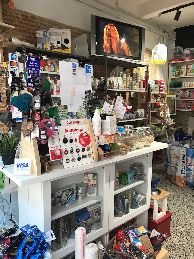 Toc toelettatura e shop - Foto 4