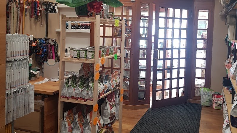 Toeletta Cave canem - Foto 1