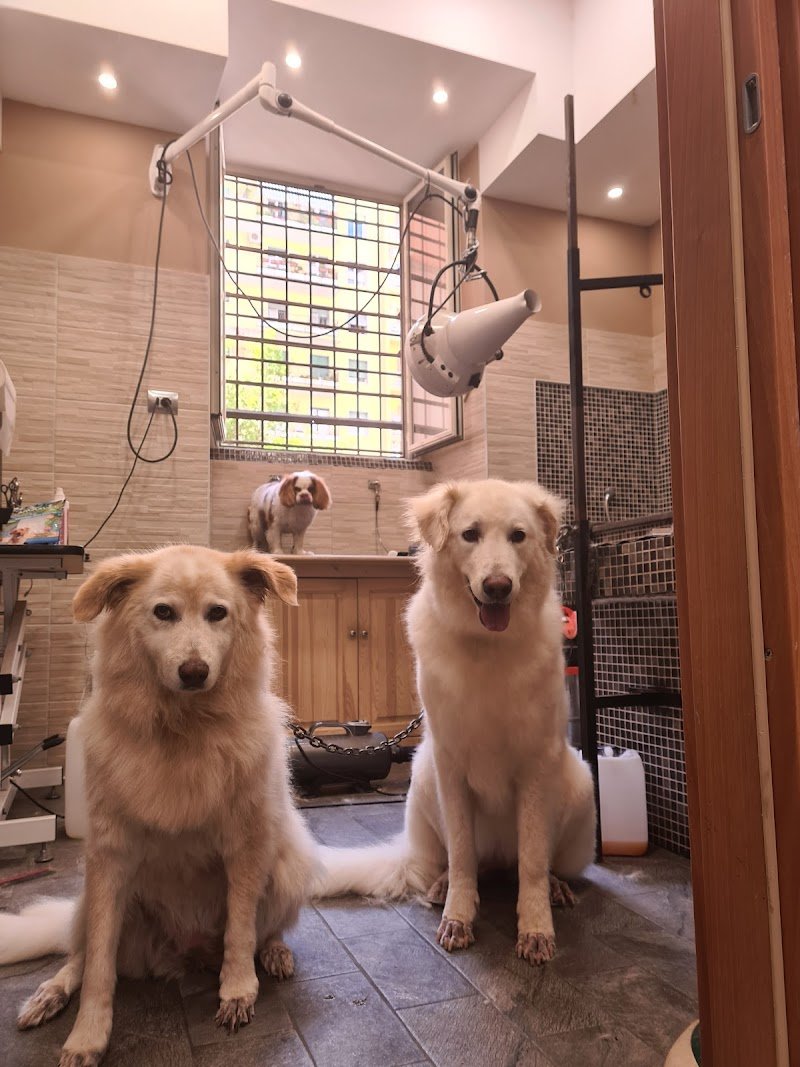 Toeletta Cave canem - Foto 3