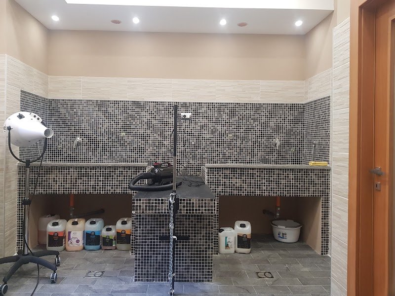 Toeletta Cave canem - Foto 5