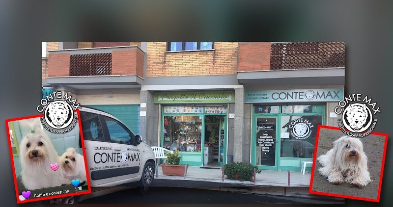 Toeletta CONTE MAX / Progetto il Cucciolo - Foto 1