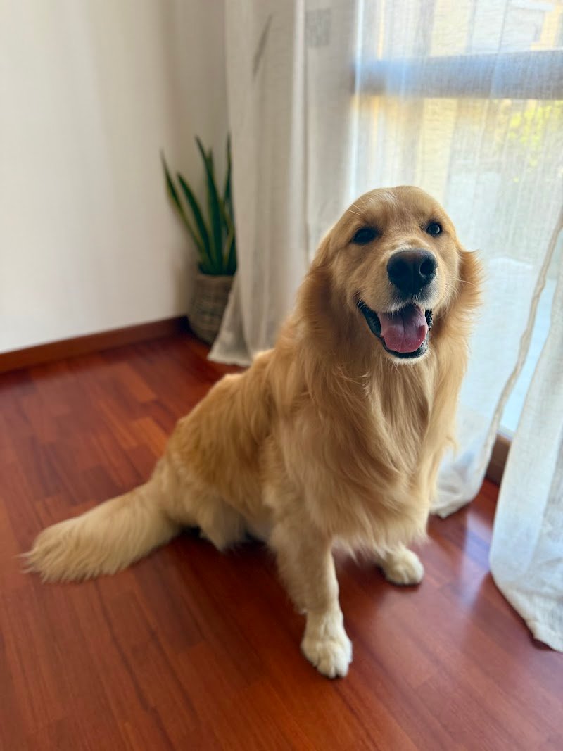 Toeletta da Laura - Foto 3