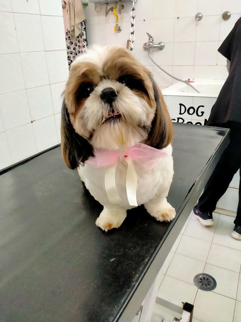 Toeletta Garbatella - Foto 3