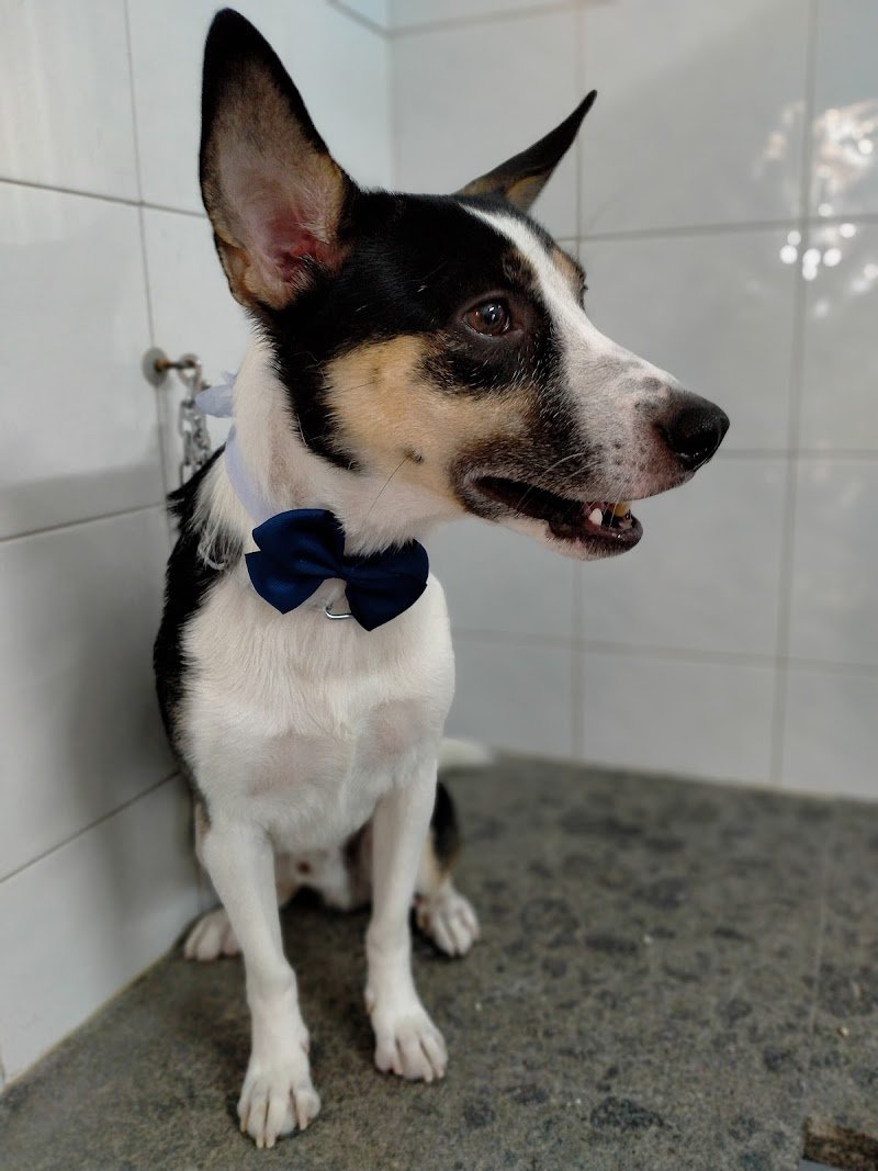 Toeletta Garbatella - Foto 4