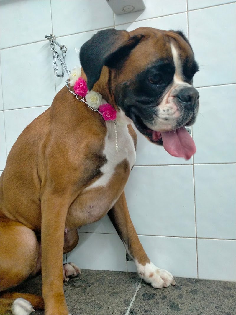 Toeletta Garbatella - Foto 5