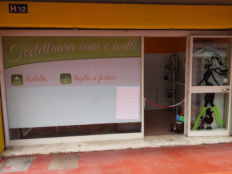 Toeletta Jolie - Foto 1